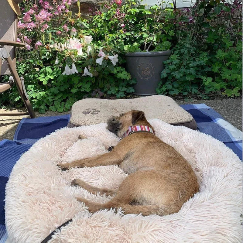 Pet Dog Bed with Calming Plush Material
