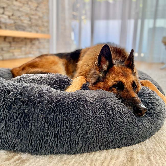 Pet Dog Bed with Calming Plush Material - Lenila