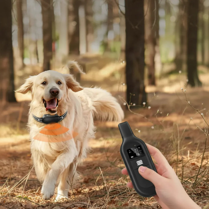 Electric Dog Training Collar with Remote Control, Waterproof, 16 Adjustable Shock Levels, 1000m Range, Beep & Vibration Modes-3