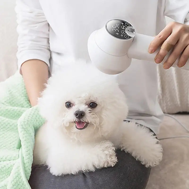 Pet Dryer with Integrated Brush Quiet Operation LED Touch Panel - Lenila