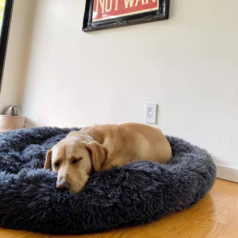 Pet Dog Bed with Calming Plush Material