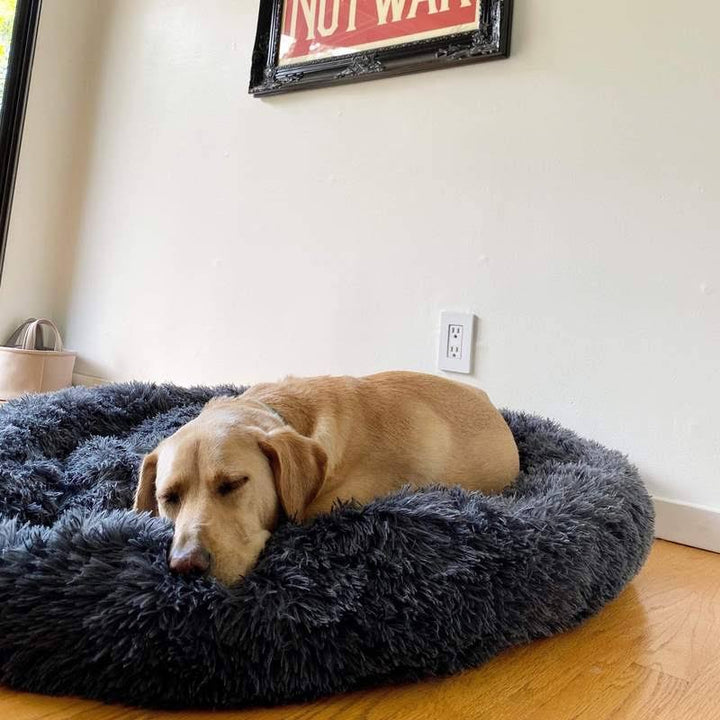 Pet Dog Bed with Calming Plush Material