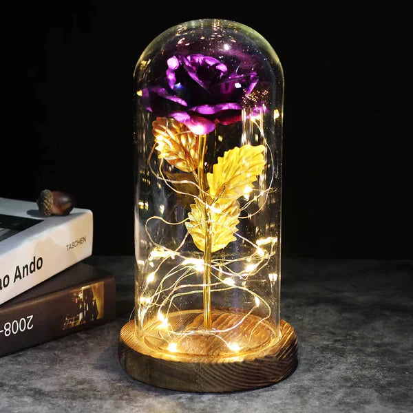 LED Dome Display with Battery-Powered Preserved Item