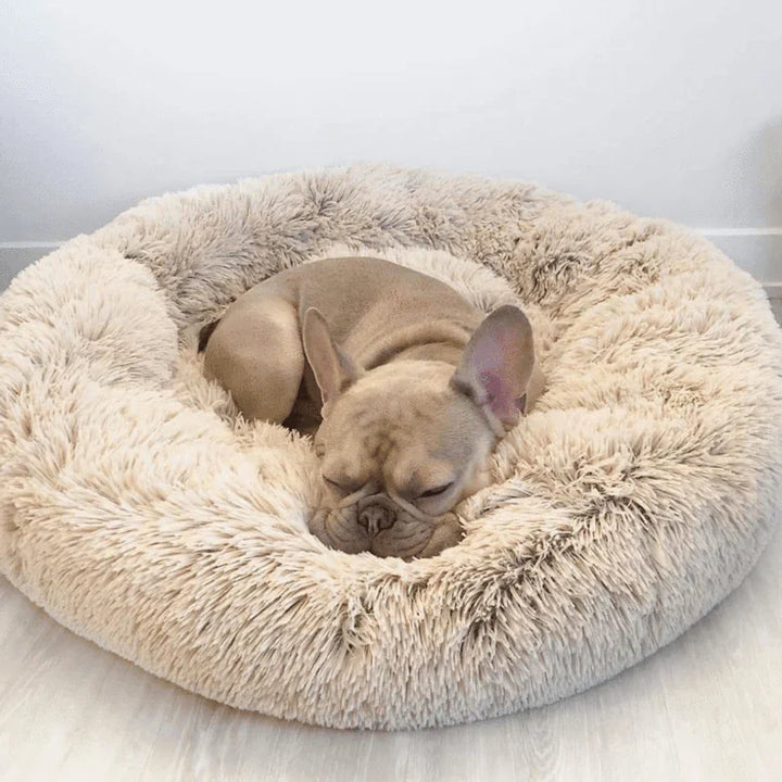 Pet Dog Bed with Calming Plush Material
