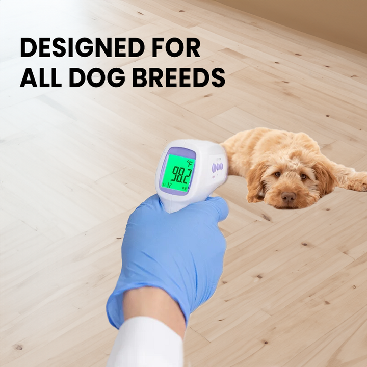 Pet Digital Thermometer No-Contact One-Click Reading