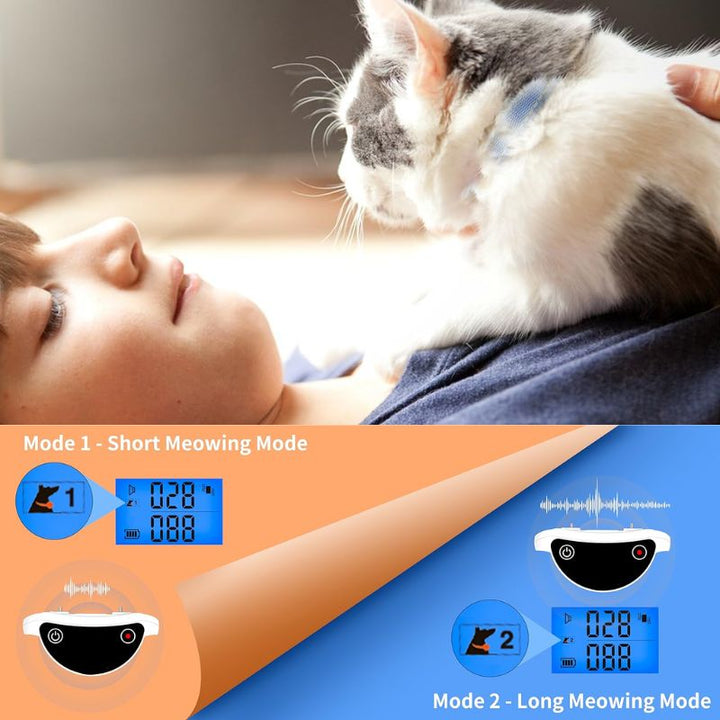 Pet Training Shock Collar with Remote Adjustable Fit