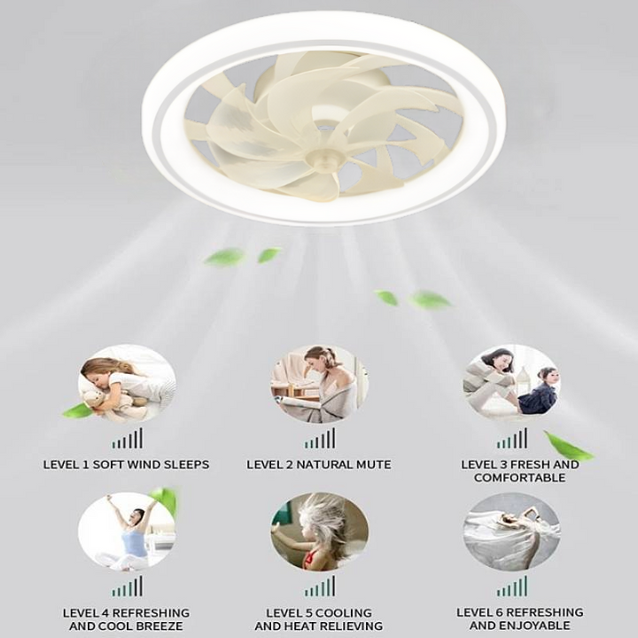 Ceiling Fan with LED Lights Smart Control