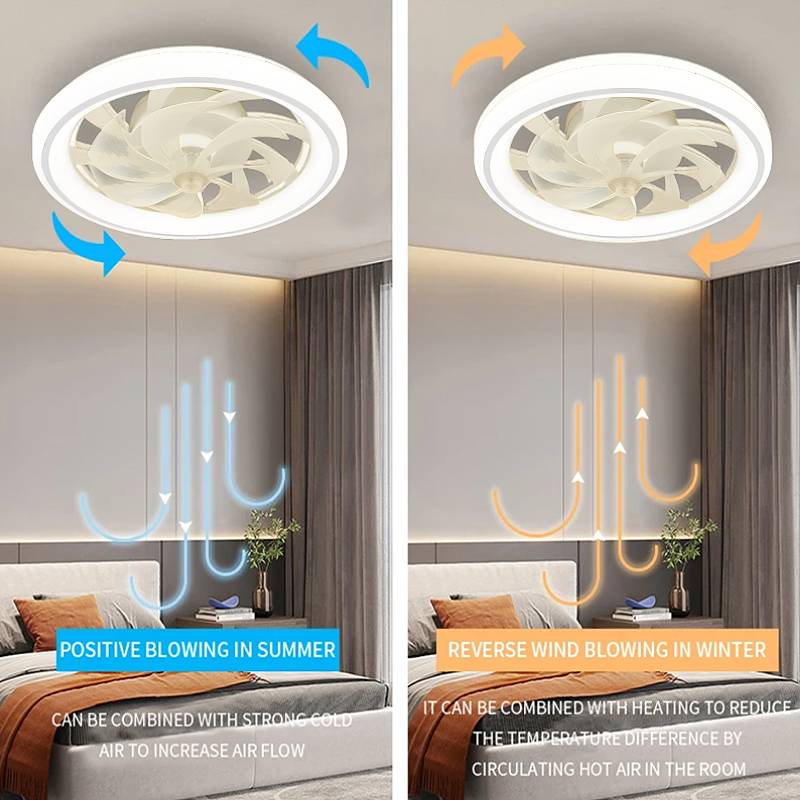 Ceiling Fan with LED Lights Smart Control
