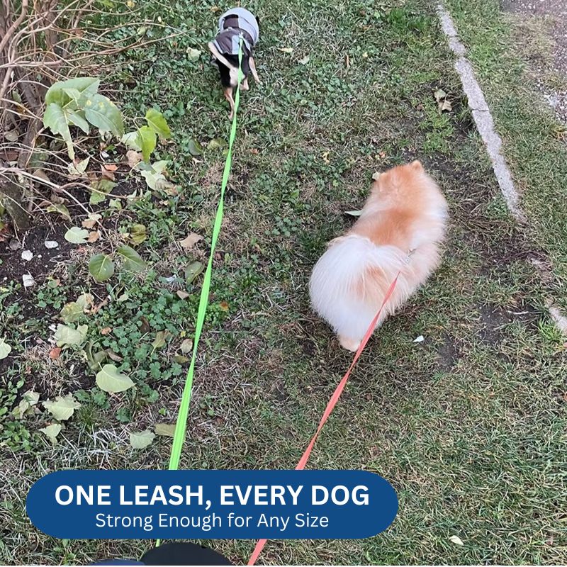 Retractable Dog Leash Dual 10ft Built-In Flashlight and Waste Bag