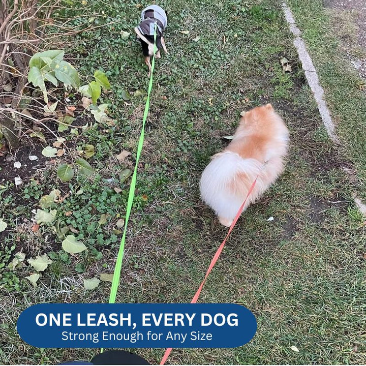 Retractable Dog Leash Dual 10ft Built-In Flashlight and Waste Bag
