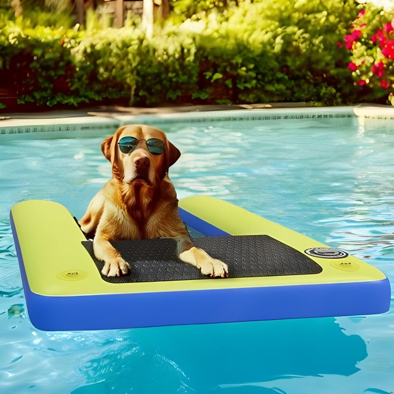 Pet Inflatable Floating Dog Pool Ramp - Lenila