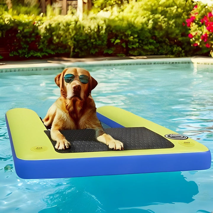 Pet Inflatable Floating Dog Pool Ramp - Lenila