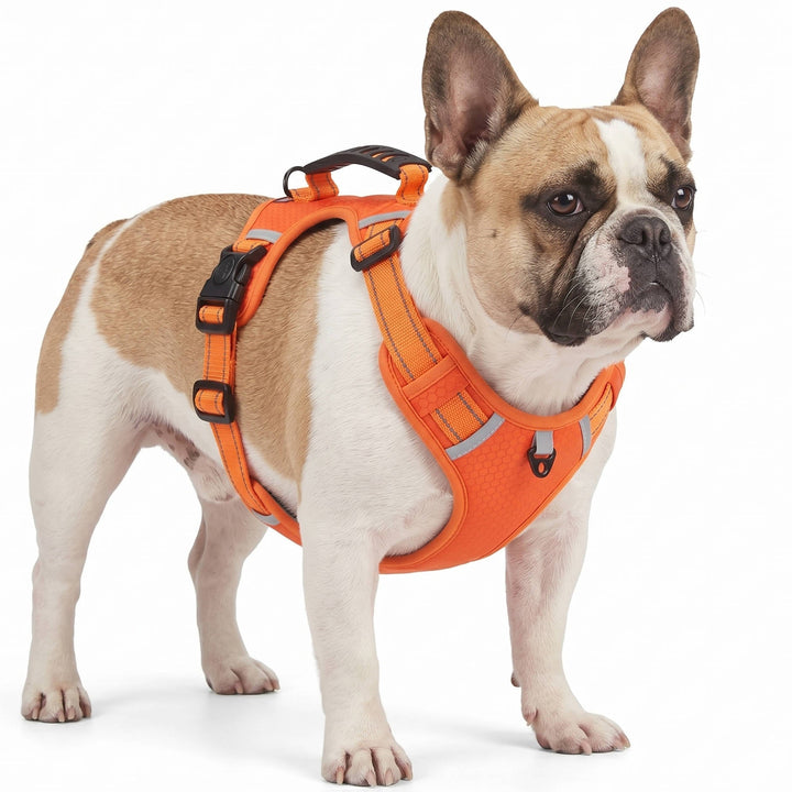Adjustable Reflective Dog Harness Breathable Mesh No Pull Saddle - Lenila