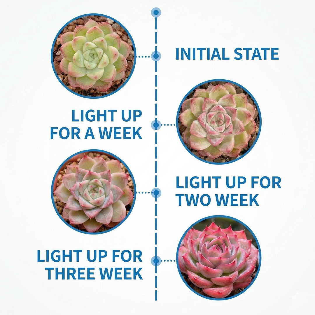 Indoor Plant Grow LED Full Spectrum Clip-On