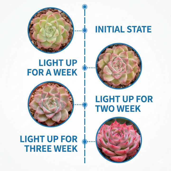 Indoor Plant Grow LED Full Spectrum Clip-On