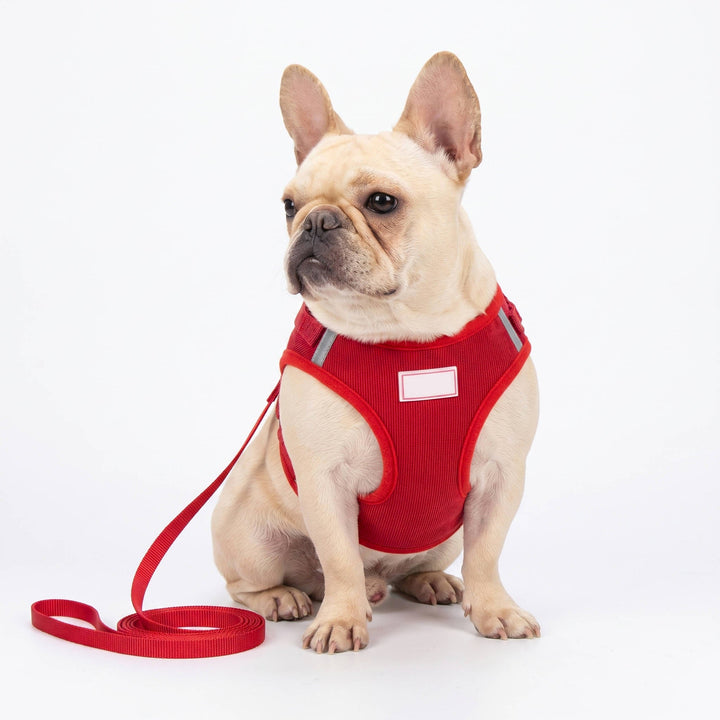 Pet Reflective Corduroy Harness and Leash Set Breathable Chest Strap