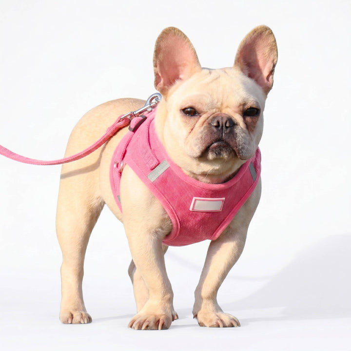 Pet Reflective Corduroy Harness and Leash Set Breathable Chest Strap - Lenila