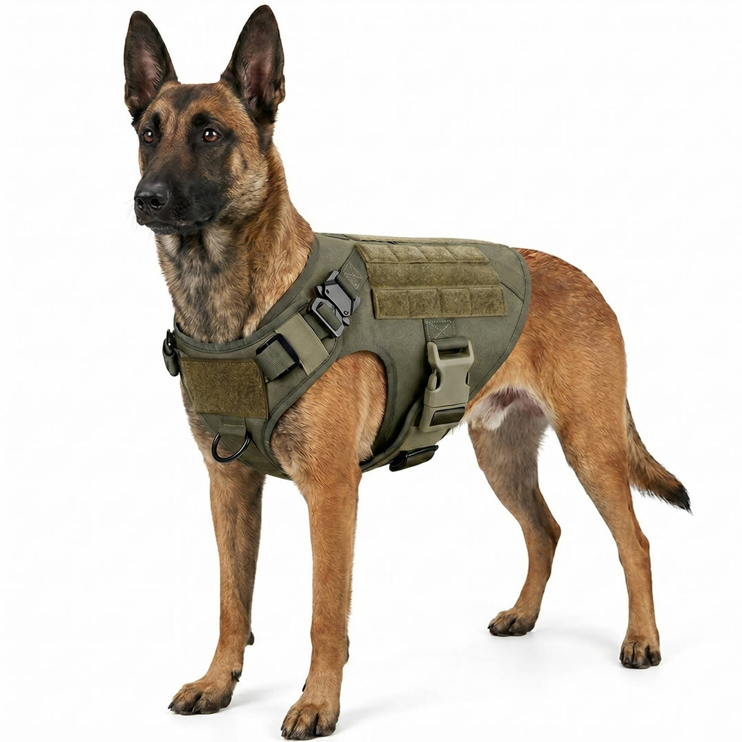 Adjustable Tactical Dog Vest Harness with Collar and Leash for Medium - Lenila