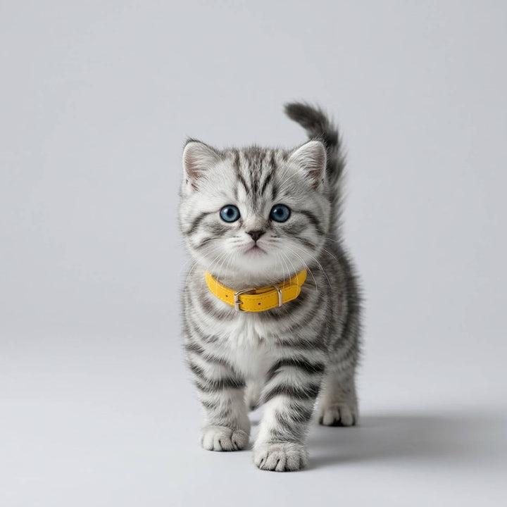 Interactive Robot Kitten Toy Walking Meowing Realistic Design