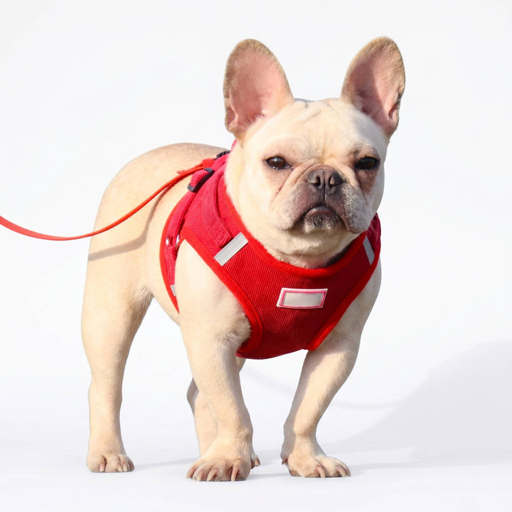 Pet Reflective Corduroy Harness and Leash Set Breathable Chest Strap