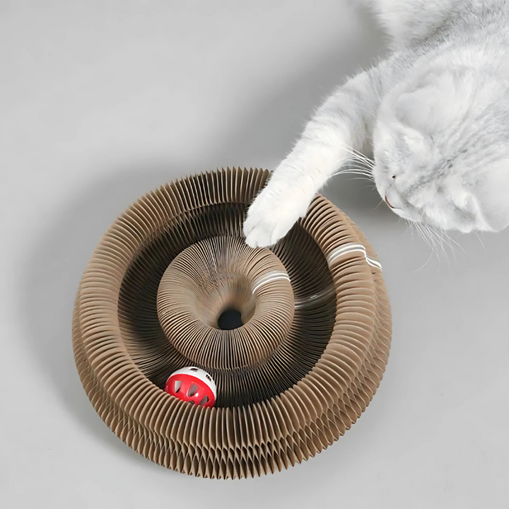 Pet Cat Maze Cardboard Magnetic Foldable with Bell Ball Toy - Lenila