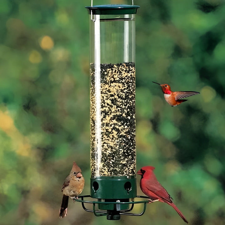 Weight Activated Bird Feeder Metal 5lb Capacity - Lenila