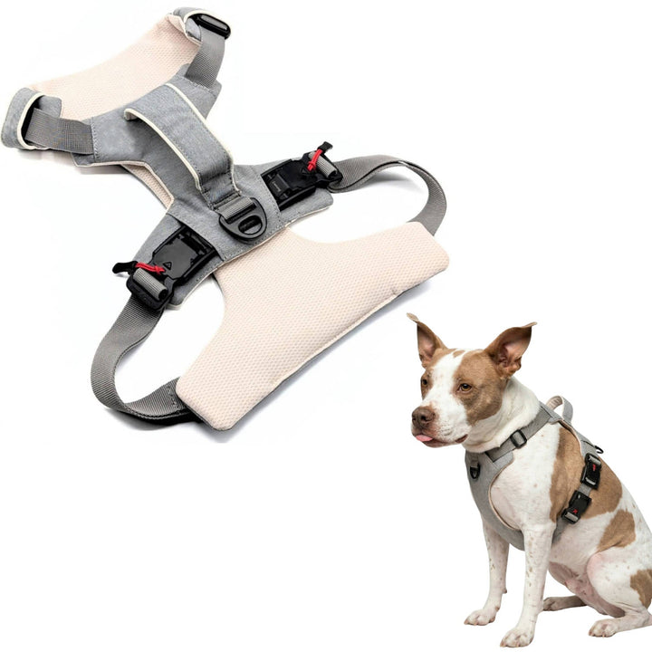 Pet Dog Harness Magnetic One-Hand Clip No-Pull Design - Lenila