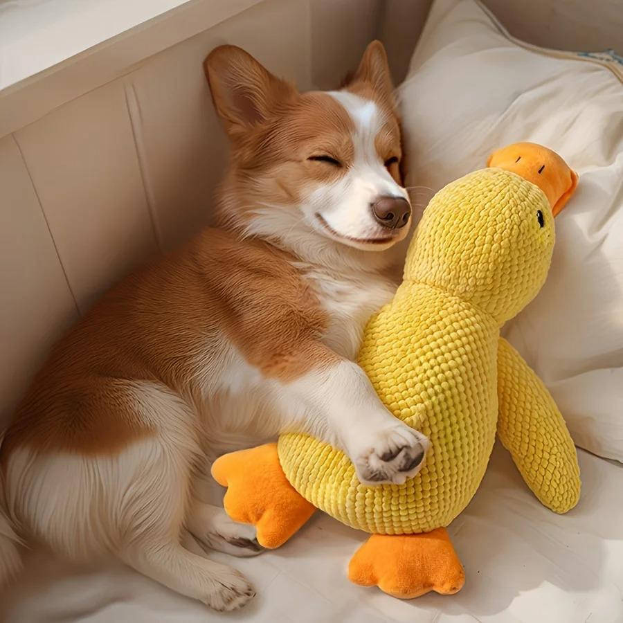 Dog Toy for Anxious Dogs Durable Chew