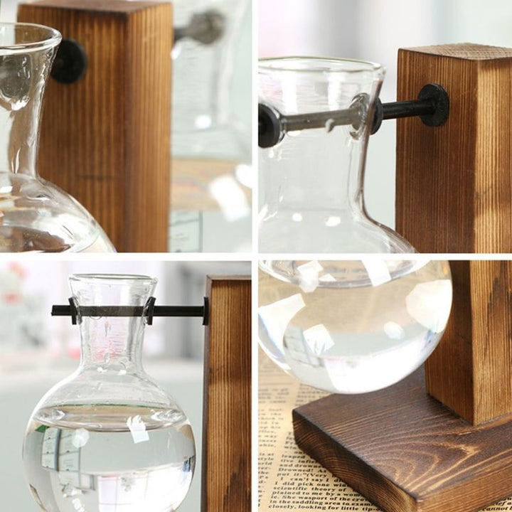 Hydroponic Plant Vase Natural Wood Frame Clear Glass Reservoir