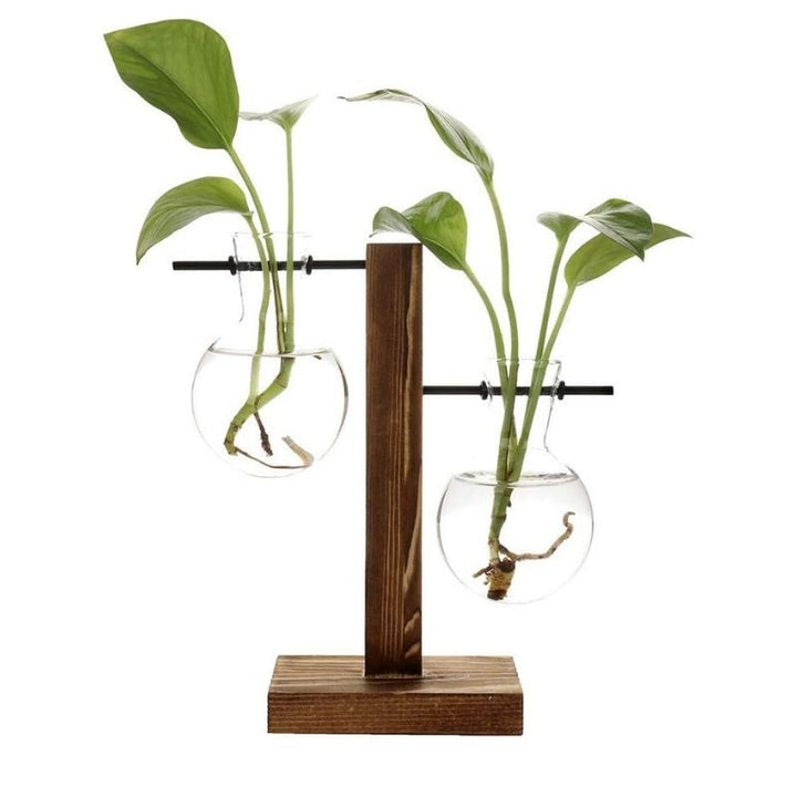 Hydroponic Plant Vase Natural Wood Frame Clear Glass Reservoir - Lenila