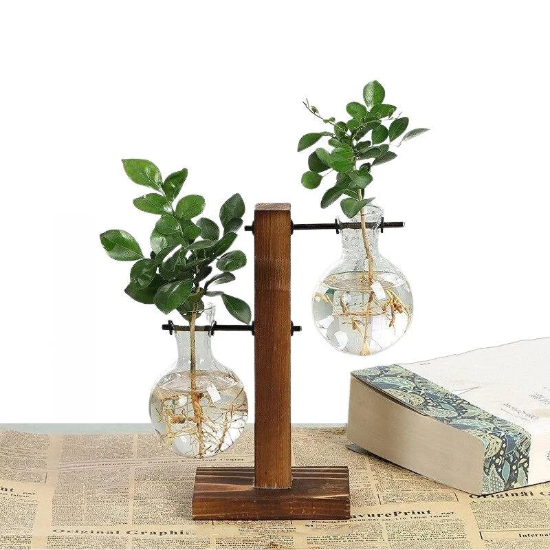 Hydroponic Plant Vase Natural Wood Frame Clear Glass Reservoir