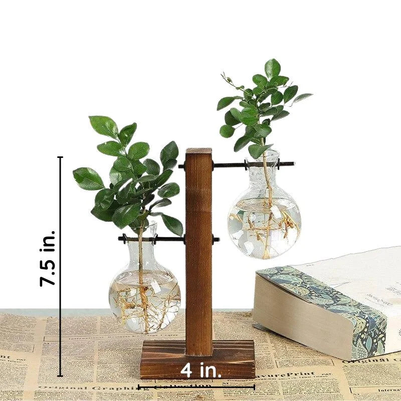 Hydroponic Plant Vase Natural Wood Frame Clear Glass Reservoir