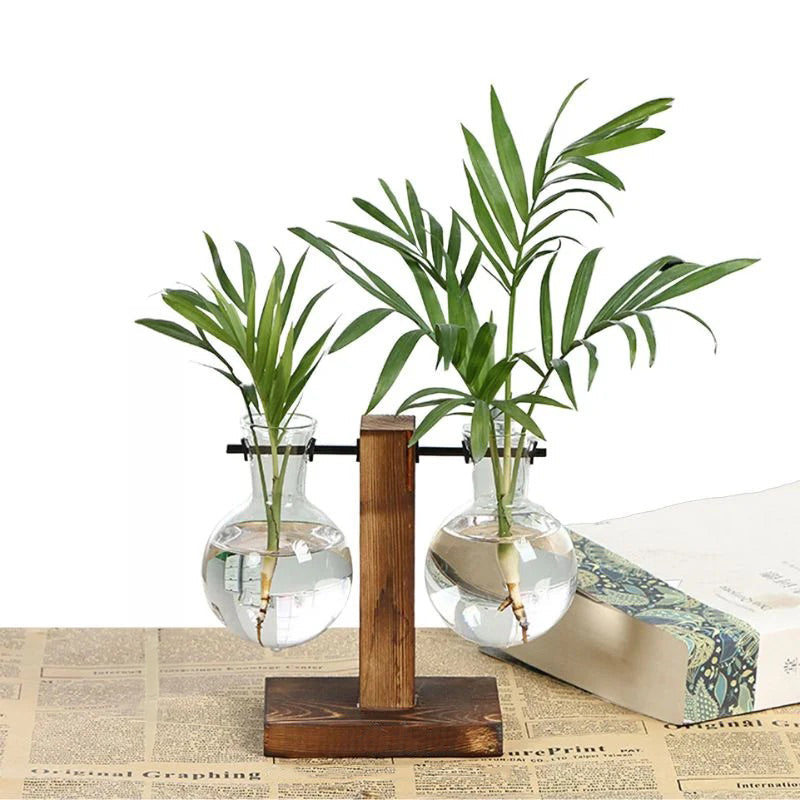Hydroponic Plant Vase Natural Wood Frame Clear Glass Reservoir