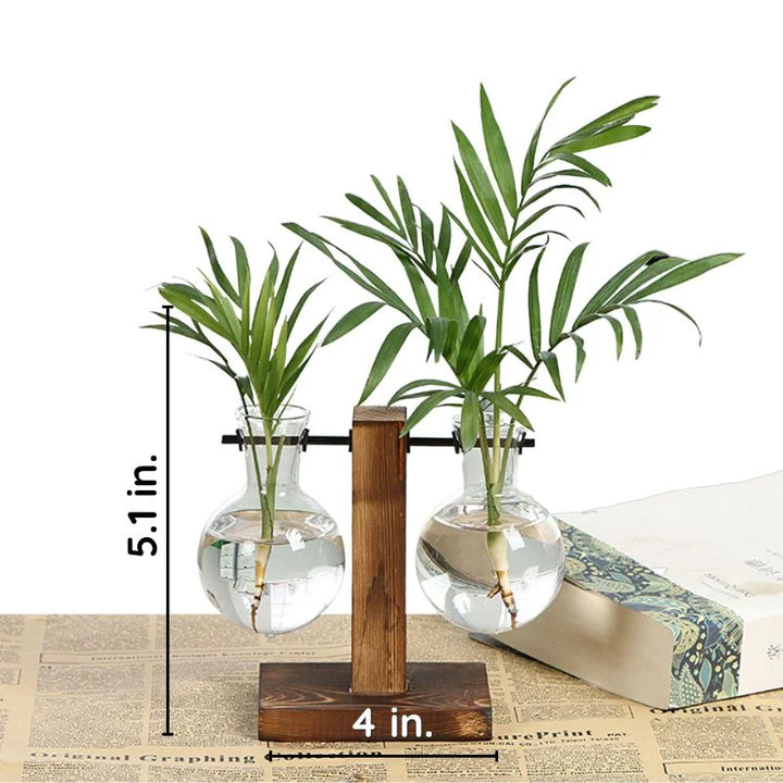 Hydroponic Plant Vase Natural Wood Frame Clear Glass Reservoir