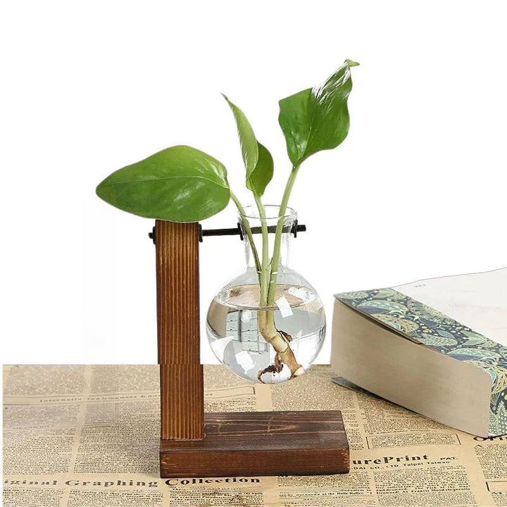 Hydroponic Plant Vase Natural Wood Frame Clear Glass Reservoir