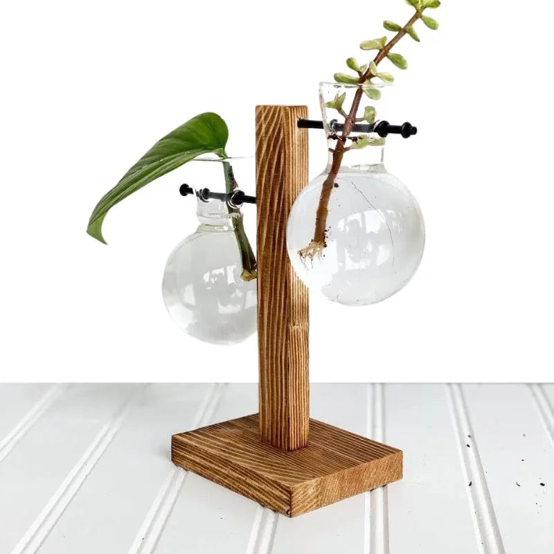 Hydroponic Plant Vase Natural Wood Frame Clear Glass Reservoir
