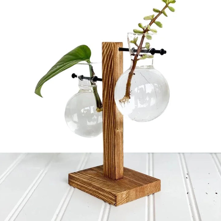 Hydroponic Plant Vase Natural Wood Frame Clear Glass Reservoir