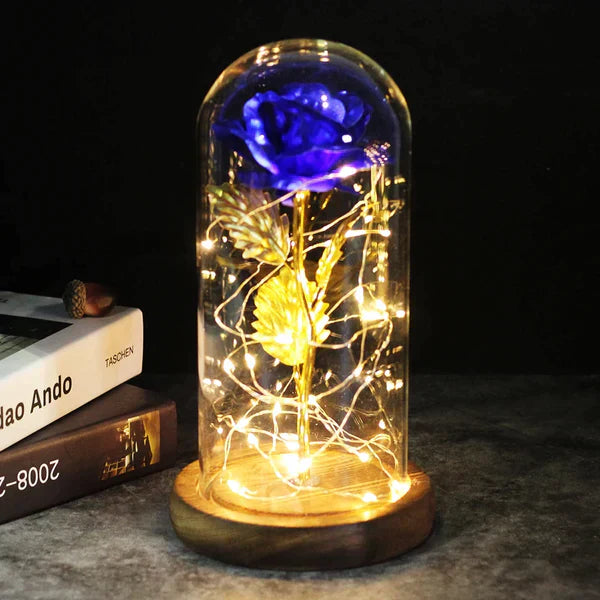 LED Dome Display with Battery-Powered Preserved Item
