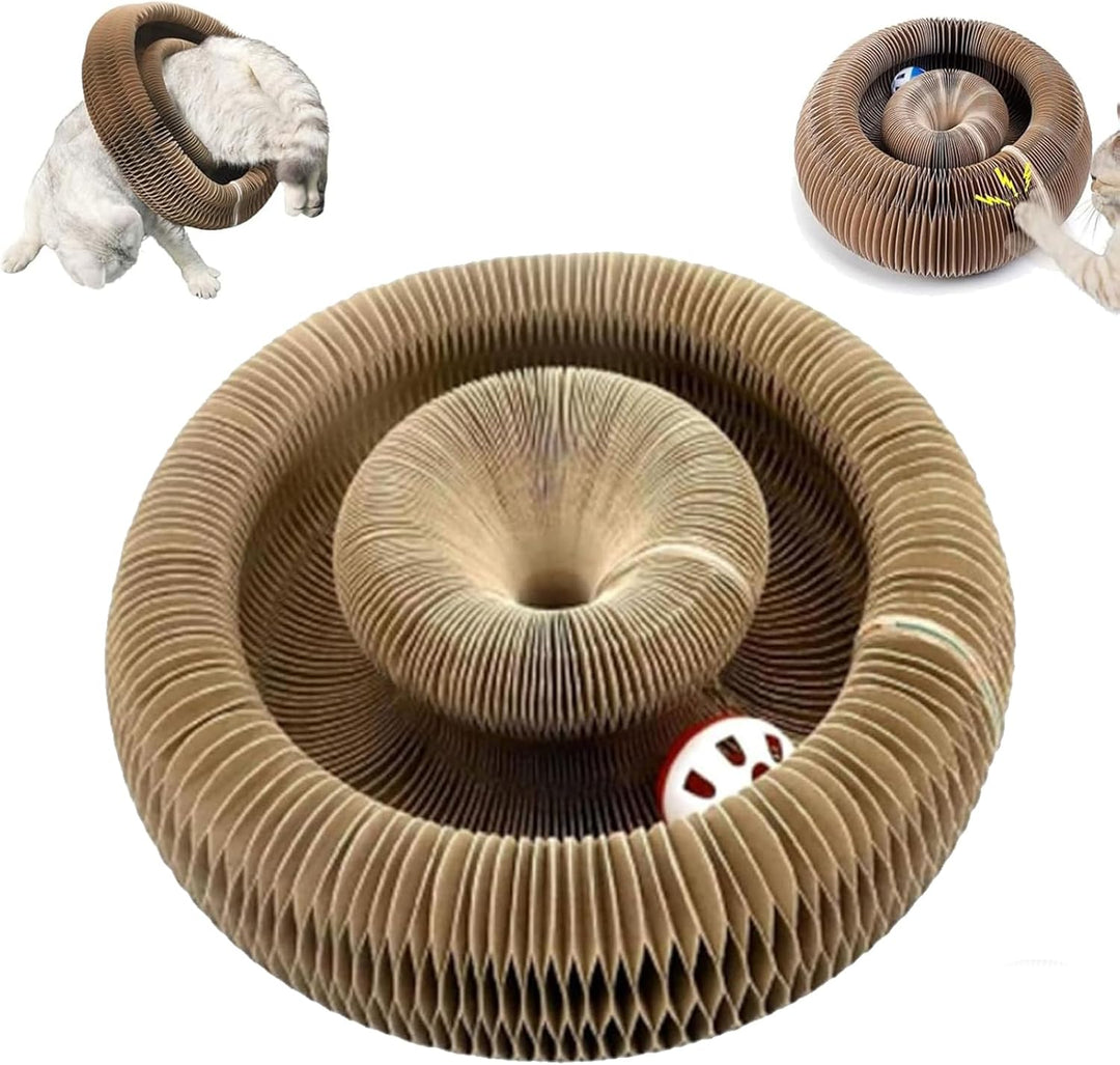 Pet Cat Maze Cardboard Magnetic Foldable with Bell Ball Toy