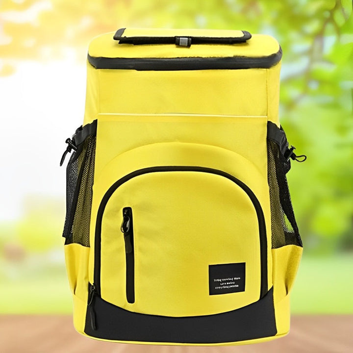 Insulated Backpack Cooler Bag Large Capacity