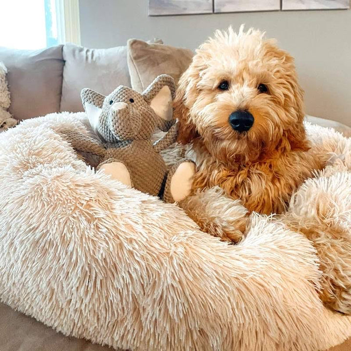 Pet Dog Bed with Calming Plush Material