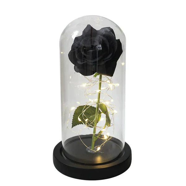 LED Dome Display with Battery-Powered Preserved Item