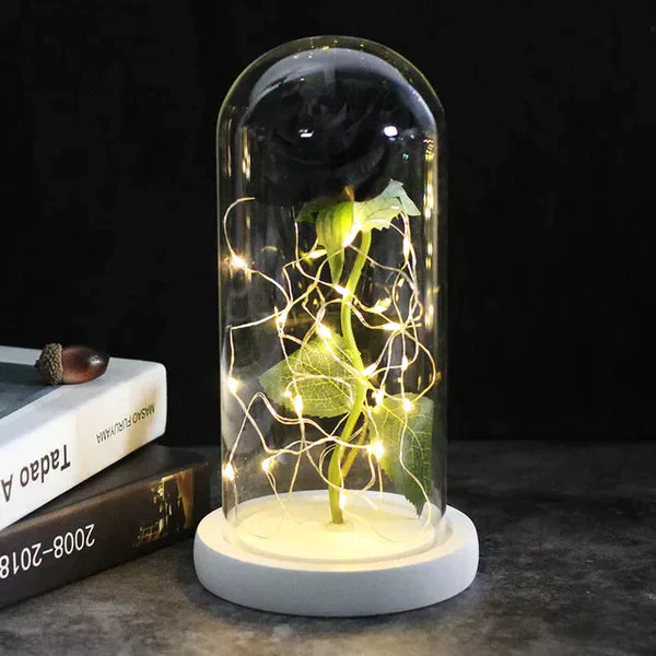 LED Dome Display with Battery-Powered Preserved Item