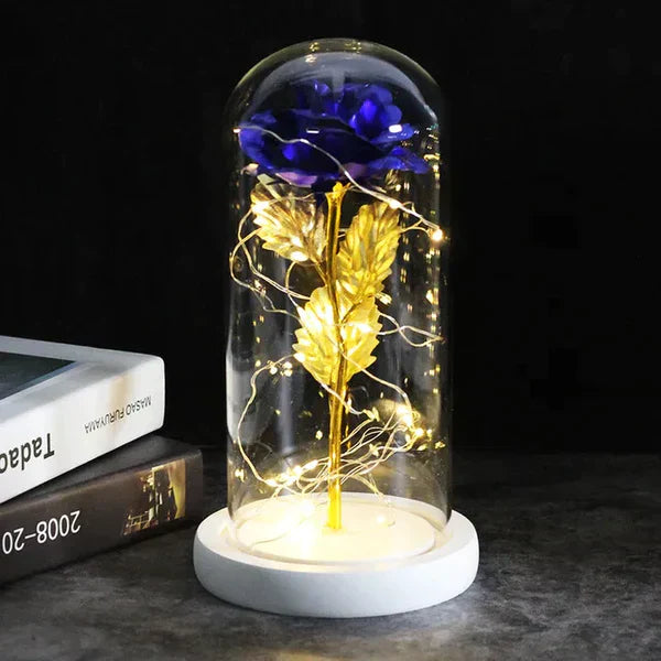 LED Dome Display with Battery-Powered Preserved Item