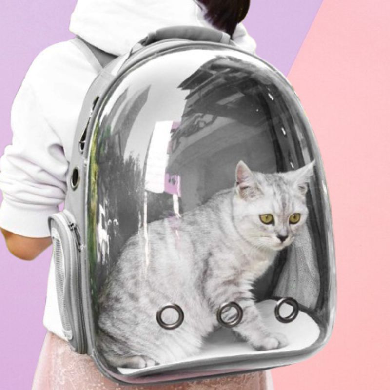 Pet Carrier Breathable Space Capsule Design