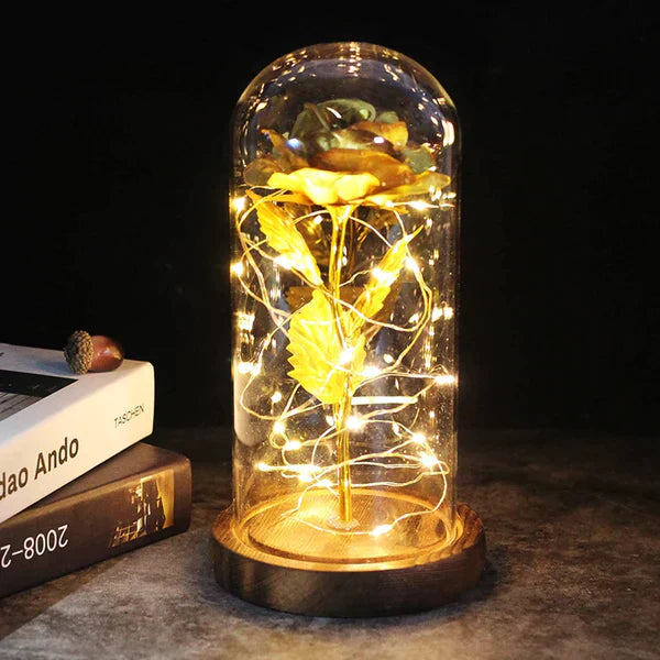 LED Dome Display with Battery-Powered Preserved Item