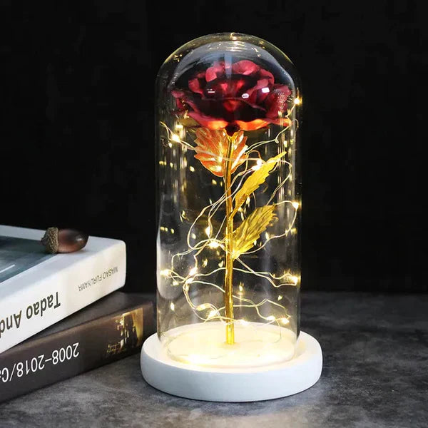 LED Dome Display with Battery-Powered Preserved Item