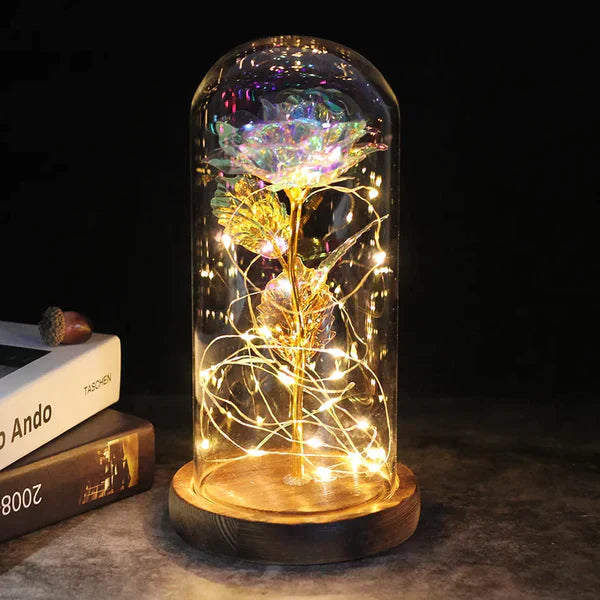 LED Dome Display with Battery-Powered Preserved Item - Lenila