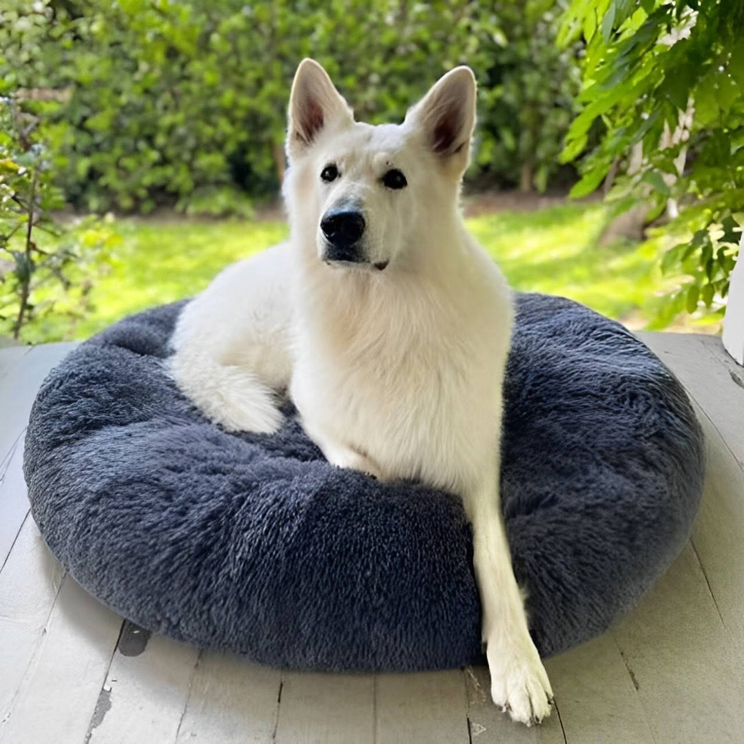 Pet Dog Bed with Calming Plush Material