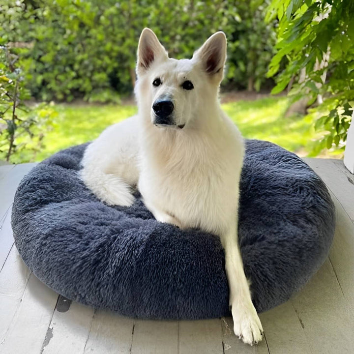Pet Dog Bed with Calming Plush Material